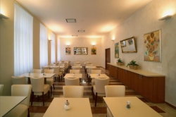 ���� ����� Prague Centre Plaza 3*