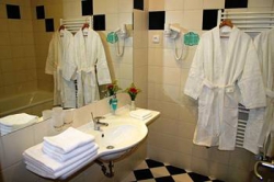 ���� ����� Ramada Airport Hotel Prague 4*