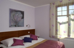 ���� ����� Villa Revova 3*