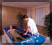 ���� ����� Bristol Pavlov 4*