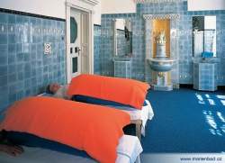 ���� ����� Centralni Lazne 3*
