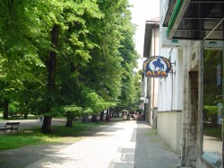 ���� ����� Bellevue -Tlapak 4*