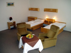 ���� ����� Goethe 3*