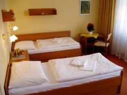 ���� ����� Goethe 3*