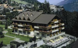   Arena Steinmattli Swiss Quality Hotel 4*