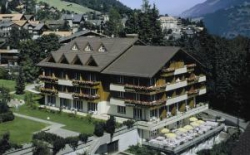 ���� ����� Arena Steinmattli Swiss Quality Hotel 4*