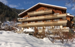 ���� ����� Arena Steinmattli Swiss Quality Hotel 4*