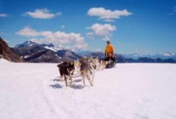 ���� ����� Steigenberger Hotel Gstaad-Saanen 4*
