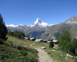 ���� ����� Chalet Rutschi 5*