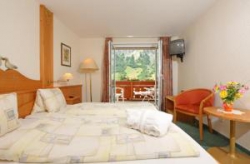 ���� ����� Grichting-Badnerhof 4*