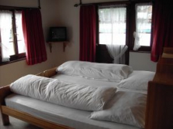 ���� ����� Signina 4*