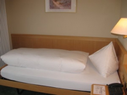 ���� ����� Waldhotel Davos 4*