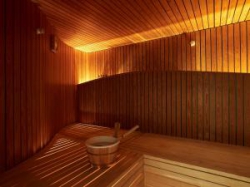 ���� ����� Intercontinental Geneva 5*