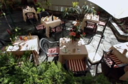 ���� ����� Rex Manotel 4*