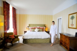 ���� ����� Des Trois Couronnes (Vevey) 5*