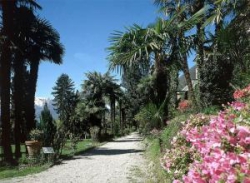 ���� ����� Esplanade 4*
