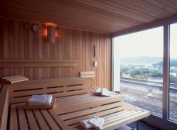 ���� ����� Swissotel Zurich 4*