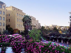 ���� ����� Mount Zion 4*