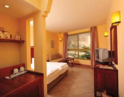 ���� ����� Ein Gedi Resort 4*