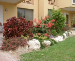���� ����� Ein Gedi Resort 4*
