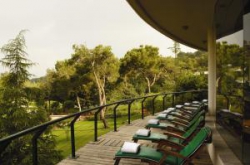 ���� ����� Carmel Forest Spa Resort 5*