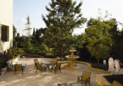 ���� ����� Carmel Forest Spa Resort 5*