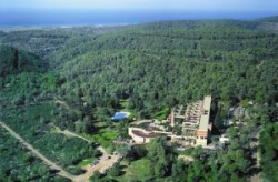   Carmel Forest Spa Resort 5*