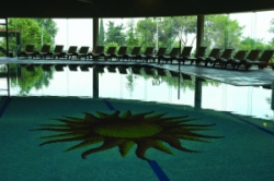 ���� ����� Carmel Forest Spa Resort 5*