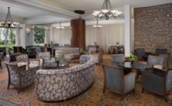 ���� ����� Dan Carmel 5*
