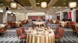 ���� ����� Dan Carmel 5*