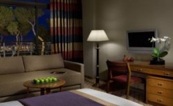 ���� ����� Dan Carmel 5*