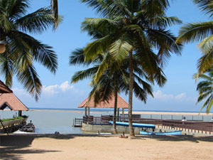 ���� ����� Estuary Island Resort 4*