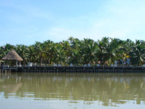 ���� ����� Poovar Island Resort 4*
