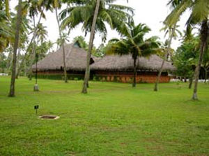 ���� ����� Marari Beach Resort 5*