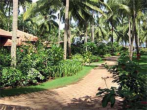 ���� ����� Taj Holiday Village 4*