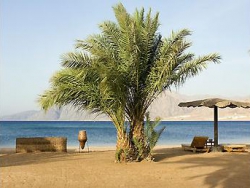 ���� ����� Coralia Club Dahab 4*