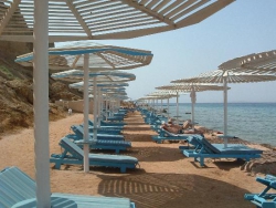 ���� ����� BEACH ALBATROS RESORT  Sharm El Sheikh 4*