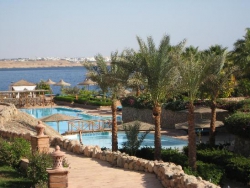 ���� ����� Club Reef 4*