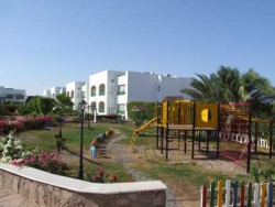 ���� ����� Coral Beach Rotana Resort Montazah 4*