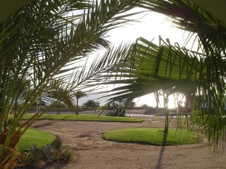 ���� ����� Domina Coral Bay Oasis 5*