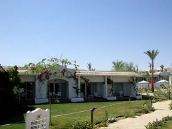 ���� ����� Hilton Sharm Dreams Resort 5*