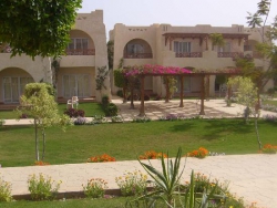 ���� ����� Hilton Sharm Dreams Resort 5*