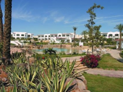 ���� ����� Hilton Sharm Dreams Resort 5*