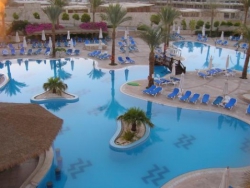 ���� ����� Hilton Sharks Bay Resort 4*
