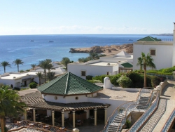 ���� ����� Hyatt Regency Sharm El Sheikh Resort 5*