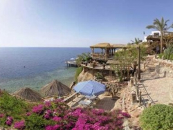 ���� ����� MARITIM JOLIE VILLE GOLF RESORT 5*