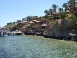 ���� ����� MARITIM JOLIE VILLE GOLF RESORT 5*