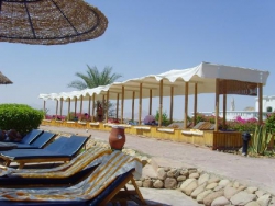 ���� ����� Tropitel Naama Bay  Hotel and Resort 5*