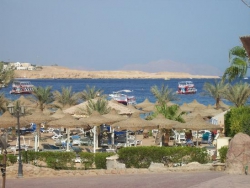 ���� ����� TROPICANA NEW TIRAN HOTEL 4*