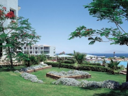 ���� ����� Tropicana New Tower 4* 3*